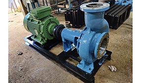 Process-Pumps