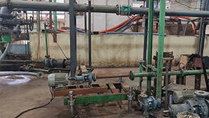 Process-Pumps