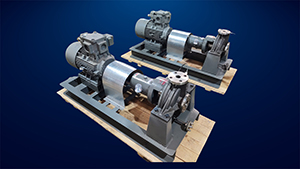 Process-Pumps